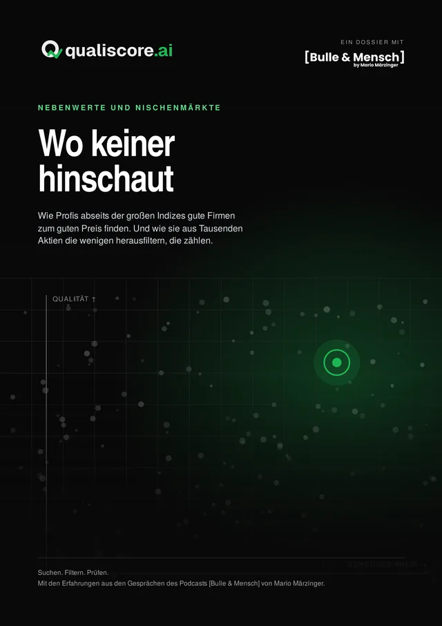 Titelseite des Dossiers „Wo keiner hinschaut“ von qualiscore.ai und [Bulle & Mensch]